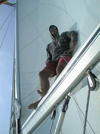 PIC00076.jpg (32423 Byte)